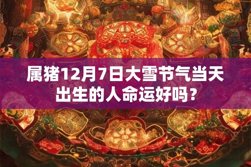 属猪12月7日大雪节气当天出生的人命运好吗？