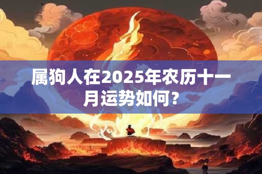 属狗人在2025年农历十一月运势如何？