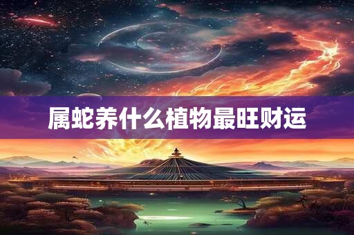 属蛇养什么植物最旺财运