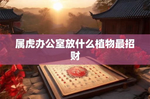 属虎办公室放什么植物最招财