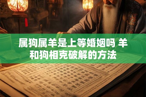 属狗属羊是上等婚姻吗 羊和狗相克破解的方法