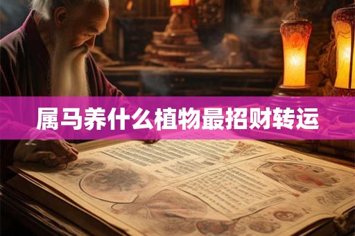 属马养什么植物最招财转运