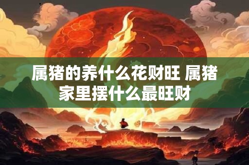 属猪的养什么花财旺 属猪家里摆什么最旺财