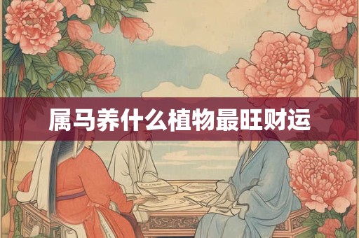 属马养什么植物最旺财运