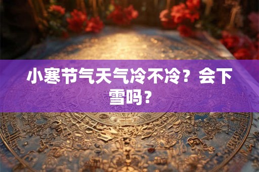 小寒节气天气冷不冷?会下雪吗? 小寒节气天气冷不冷?会下雪吗?