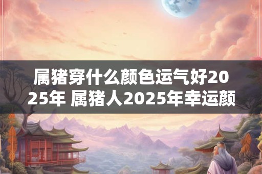 属猪穿什么颜色运气好2025年 属猪人2025年幸运颜色