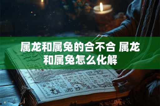 属龙和属兔的合不合 属龙和属兔怎么化解 属龙和属兔的合不合 属龙和属兔怎么化解