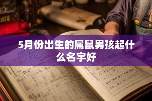 5月份出生的属鼠男孩起什么名字好