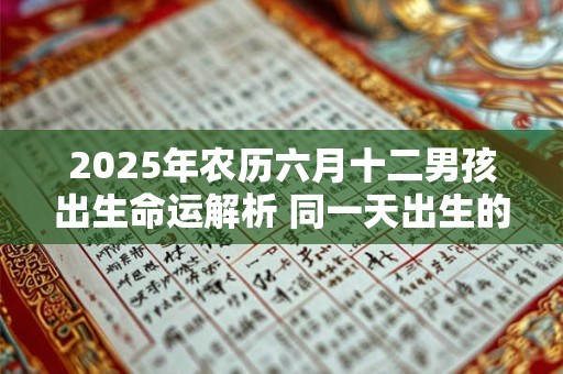 2025年农历六月十二男孩出生命运解析 同一天出生的名人