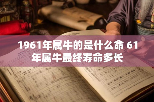 1961年属牛的是什么命 61年属牛最终寿命多长