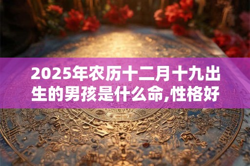 2025年农历十二月十九出生的男孩是什么命,性格好不好？