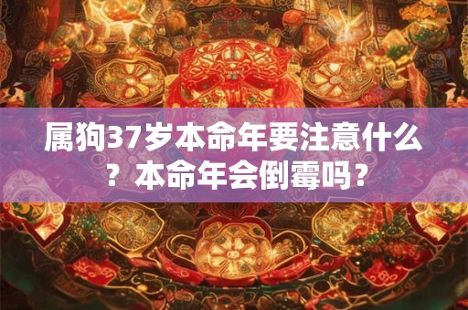 属狗37岁本命年要注意什么？本命年会倒霉吗？