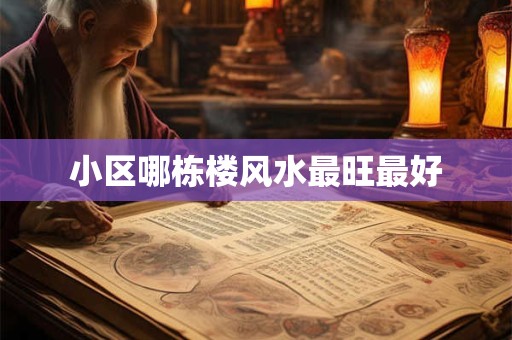 小区哪栋楼风水最旺最好