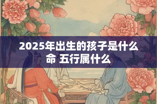 2025年出生的孩子是什么命 五行属什么