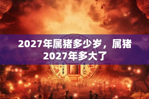 2027年属猪多少岁，属猪2027年多大了