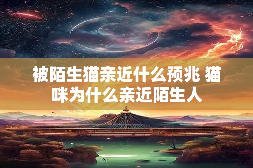 被陌生猫亲近什么预兆 猫咪为什么亲近陌生人