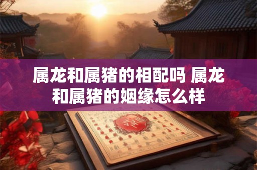 属龙和属猪的相配吗 属龙和属猪的姻缘怎么样