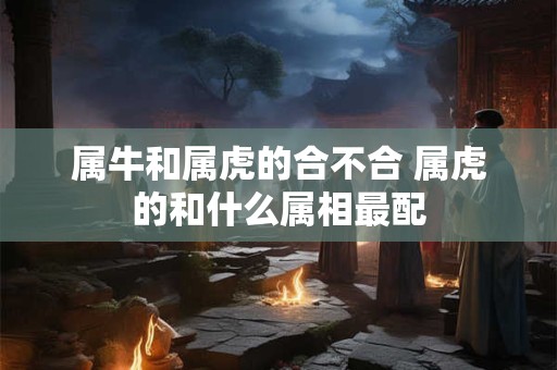属牛和属虎的合不合 属虎的和什么属相最配