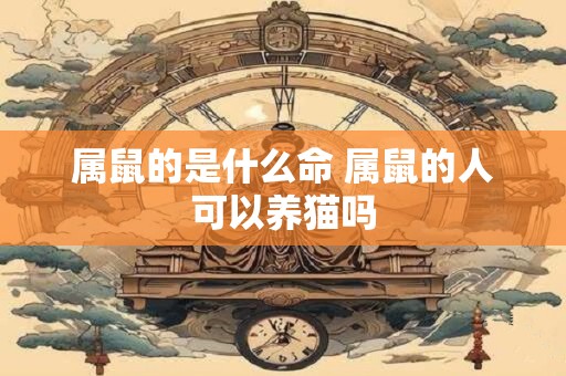属鼠的是什么命 属鼠的人可以养猫吗 属鼠的是什么命 属鼠的人可以养猫吗