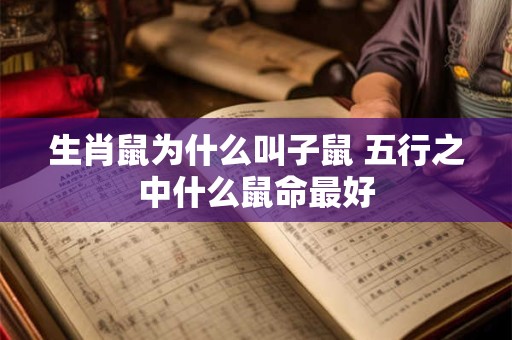 生肖鼠为什么叫子鼠 五行之中什么鼠命最好