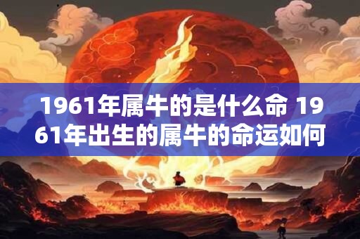 1961年属牛的是什么命 1961年出生的属牛的命运如何 1961年属牛的是什么命 1961年出生的属牛的命运如何