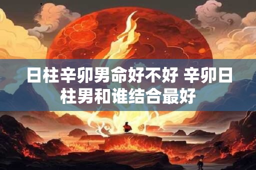 日柱辛卯男命好不好 辛卯日柱男和谁结合最好 日柱辛卯男命好不好 辛卯日柱男和谁结合最好