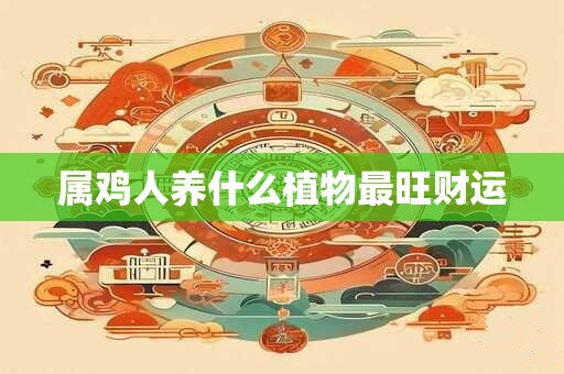 属鸡人养什么植物最旺财运
