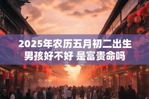 2026年农历五月初二出生男孩好不好 是富贵命吗 2026年农历五月初二出生男孩好不好 是富贵命吗