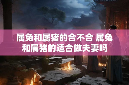 属兔和属猪的合不合 属兔和属猪的适合做夫妻吗