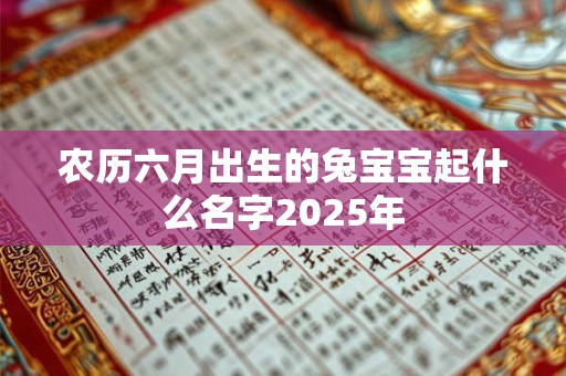 农历六月出生的兔宝宝起什么名字2025年