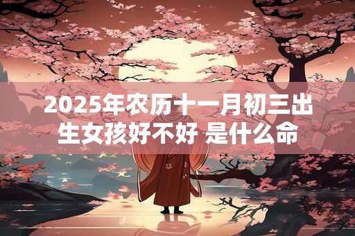 2026年农历十一月初三出生女孩好不好 是什么命