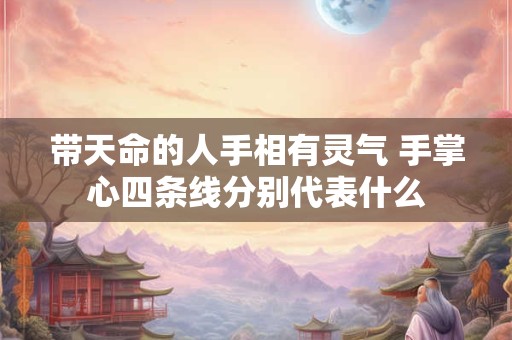 带天命的人手相有灵气 手掌心四条线分别代表什么