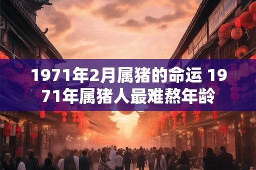 1971年2月属猪的命运 1971年属猪人最难熬年龄
