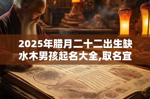 2025年腊月二十二出生缺水木男孩起名大全,取名宜用字