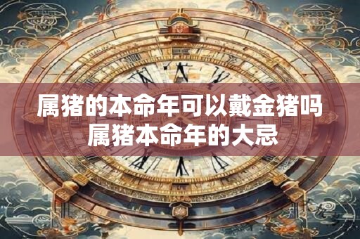 属猪的本命年可以戴金猪吗 属猪本命年的大忌