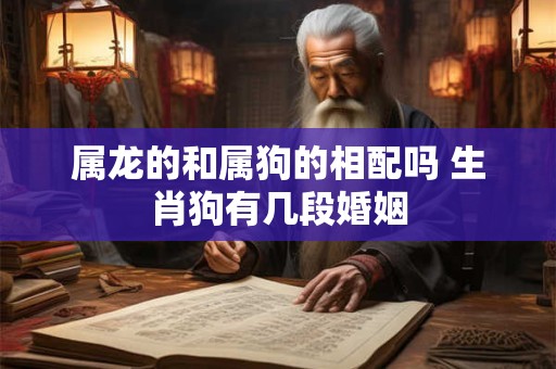 属龙的和属狗的相配吗 生肖狗有几段婚姻