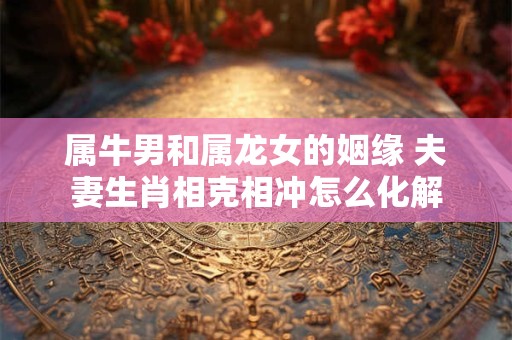 属牛男和属龙女的姻缘 夫妻生肖相克相冲怎么化解 属牛男和属龙女的姻缘 夫妻生肖相克相冲怎么化解