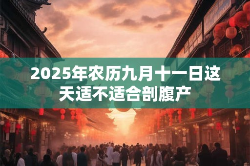 2026年农历九月十一日这天适不适合剖腹产