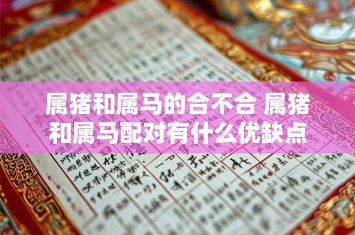 属猪和属马的合不合 属猪和属马配对有什么优缺点