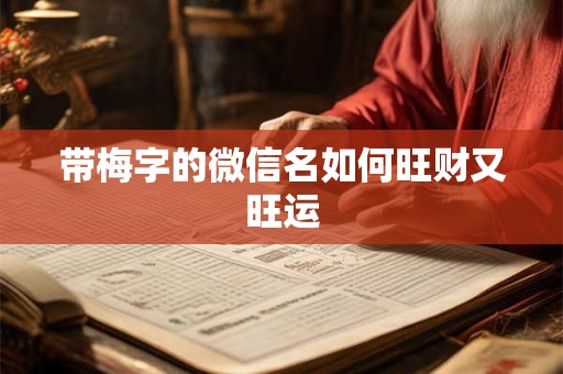 带梅字的微信名如何旺财又旺运