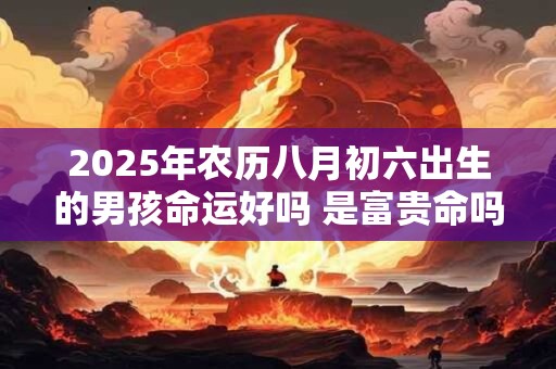 2026年农历八月初六出生的男孩命运好吗 是富贵命吗 2026年农历八月初六出生的男孩命运好吗 是富贵命吗