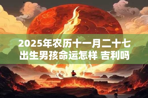 2025年农历十一月二十七出生男孩命运怎样 吉利吗