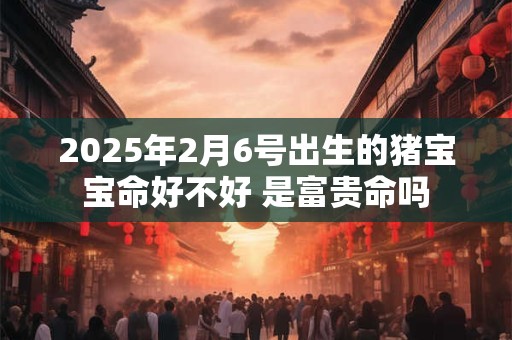 2026年2月6号出生的猪宝宝命好不好 是富贵命吗