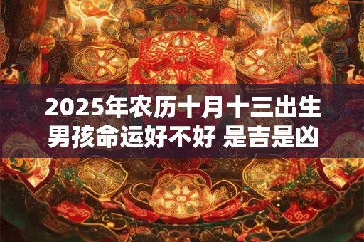 2025年农历十月十三出生男孩命运好不好 是吉是凶