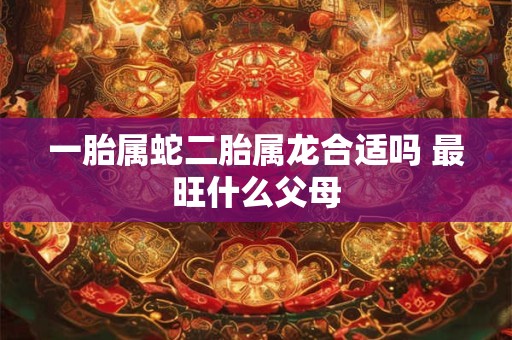 一胎属蛇二胎属龙合适吗 最旺什么父母