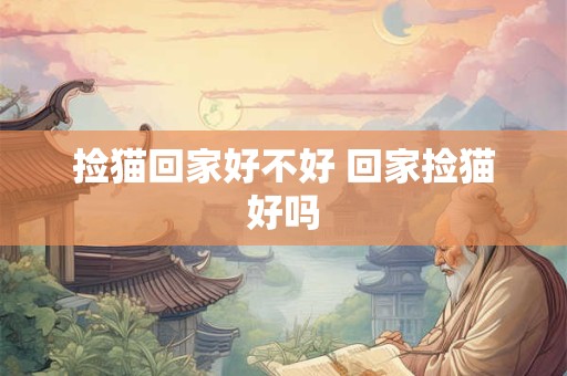 捡猫回家好不好 回家捡猫好吗 捡猫回家好不好 回家捡猫好吗