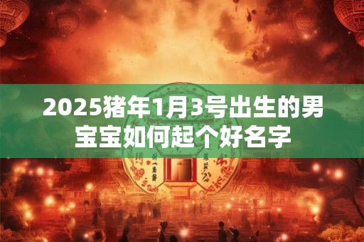 2025猪年1月3号出生的男宝宝如何起个好名字