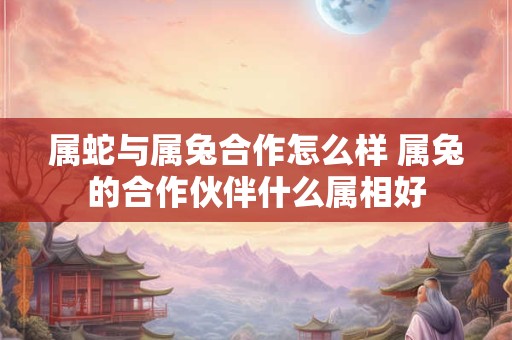 属蛇与属兔合作怎么样 属兔的合作伙伴什么属相好