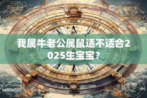 我属牛老公属鼠适不适合2025生宝宝？