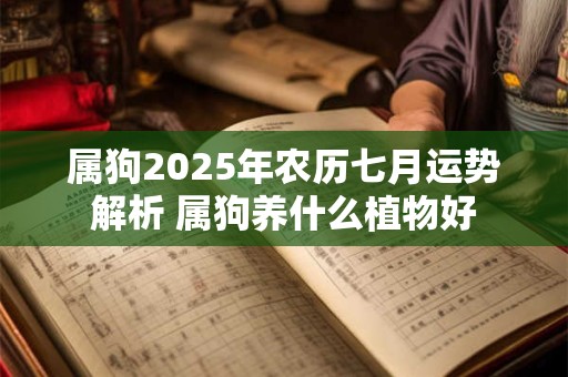 属狗2025年农历七月运势解析 属狗养什么植物好 属狗2025年农历七月运势解析 属狗养什么植物好